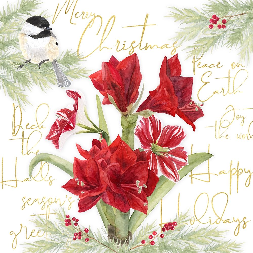 Merry Amaryllis IV art print by Tara Reed for $57.95 CAD