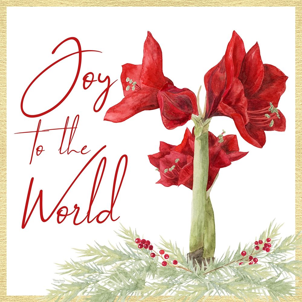 Merry Amaryllis V art print by Tara Reed for $57.95 CAD