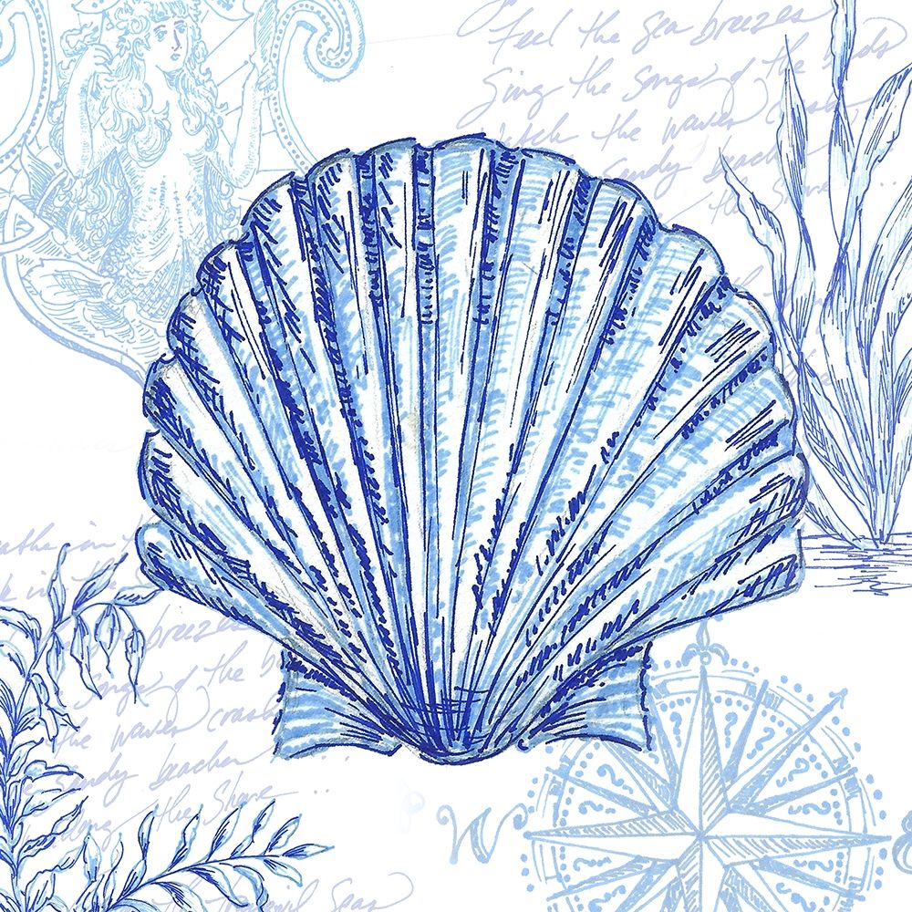 Coastal Sketchbook-Scallop art print by Tre Sorelle Studios for $57.95 CAD