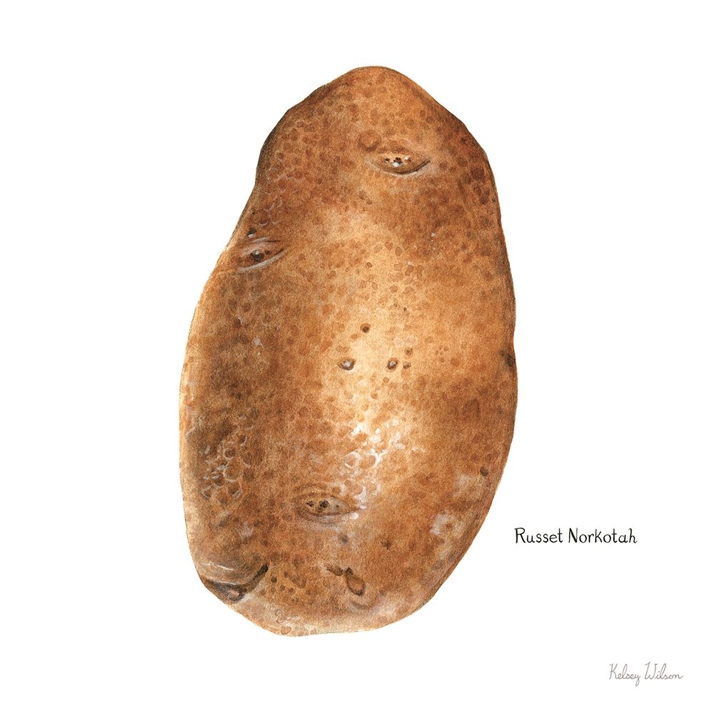 Organic Potatoes III art print by Kelsey Wilson for $57.95 CAD