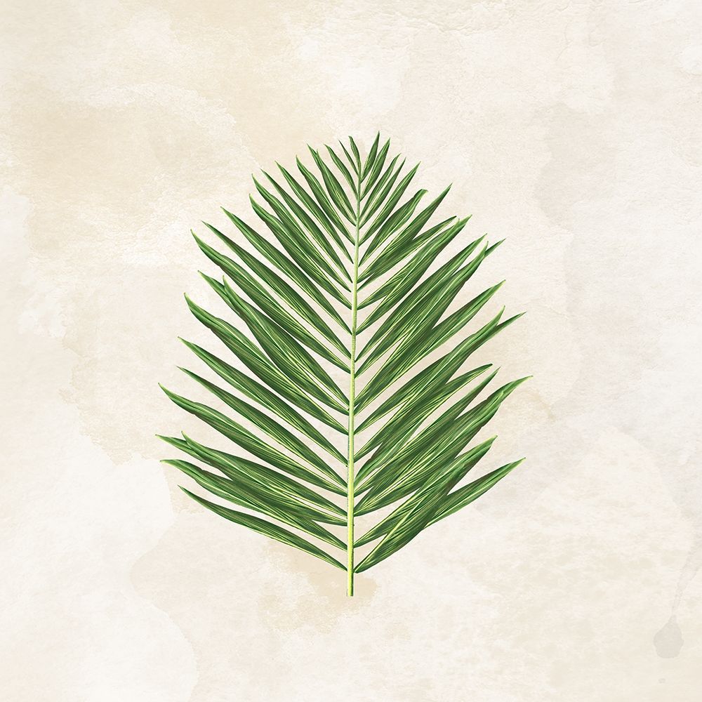 Tropical Leaves II art print by Lee C for $57.95 CAD