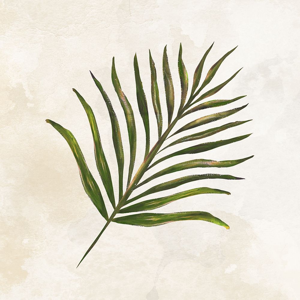 Tropical Leaves IV art print by Lee C for $57.95 CAD