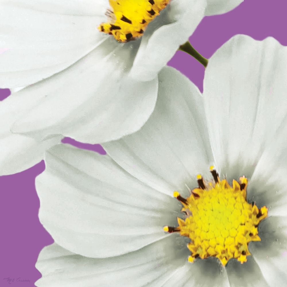 Flower Pop II art print by Marie-Elaine Cusson for $57.95 CAD