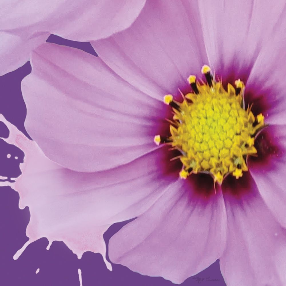 Flower Pop III art print by Marie-Elaine Cusson for $57.95 CAD