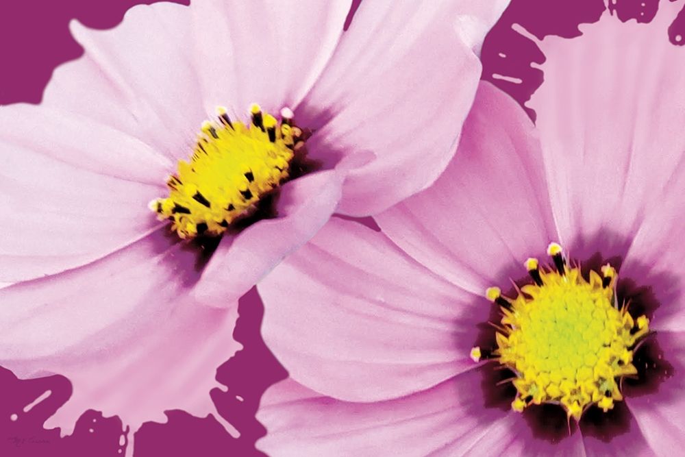 Flower Pop landscape II art print by Marie-Elaine Cusson for $57.95 CAD