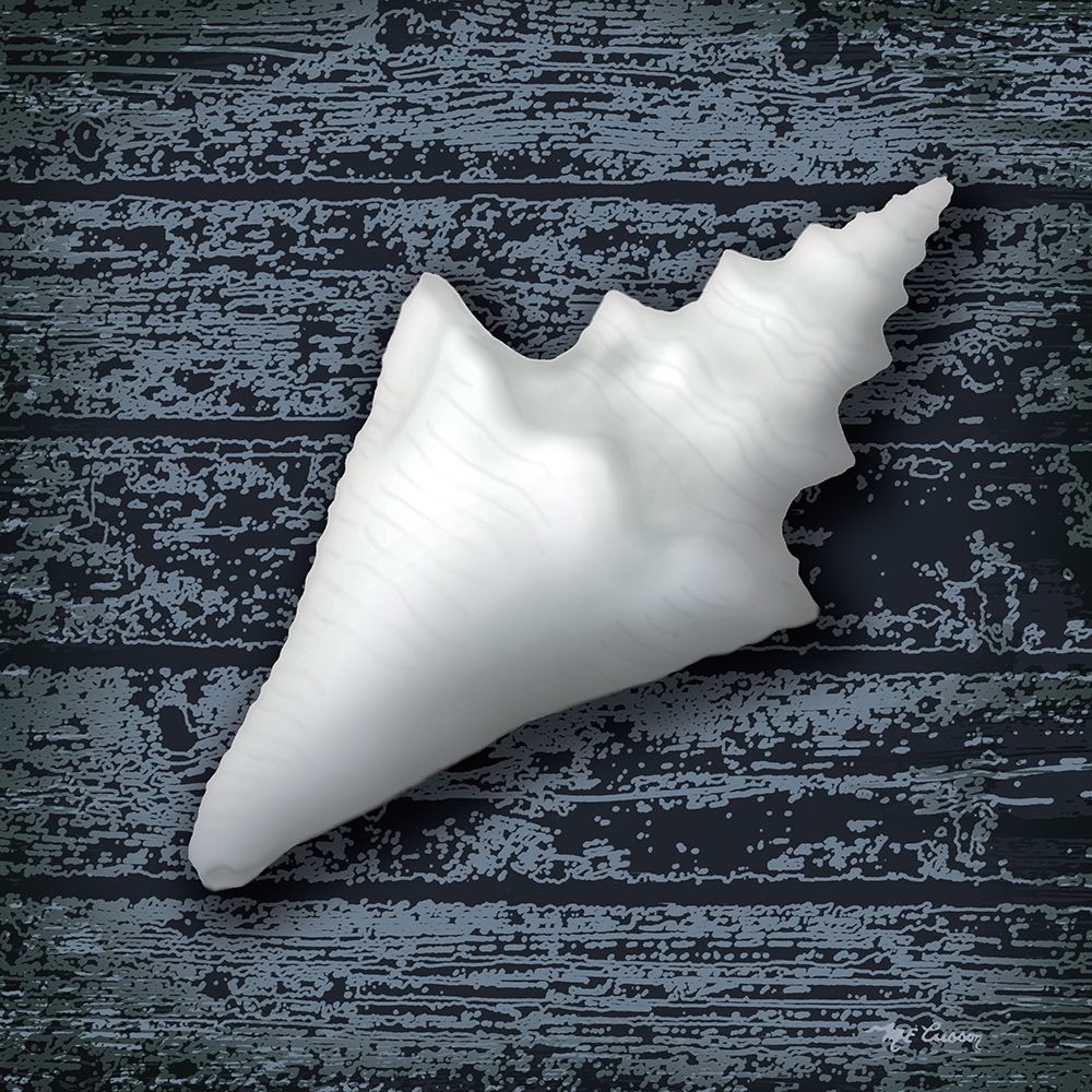 Seashore Shells Navy III art print by Marie-Elaine Cusson for $57.95 CAD