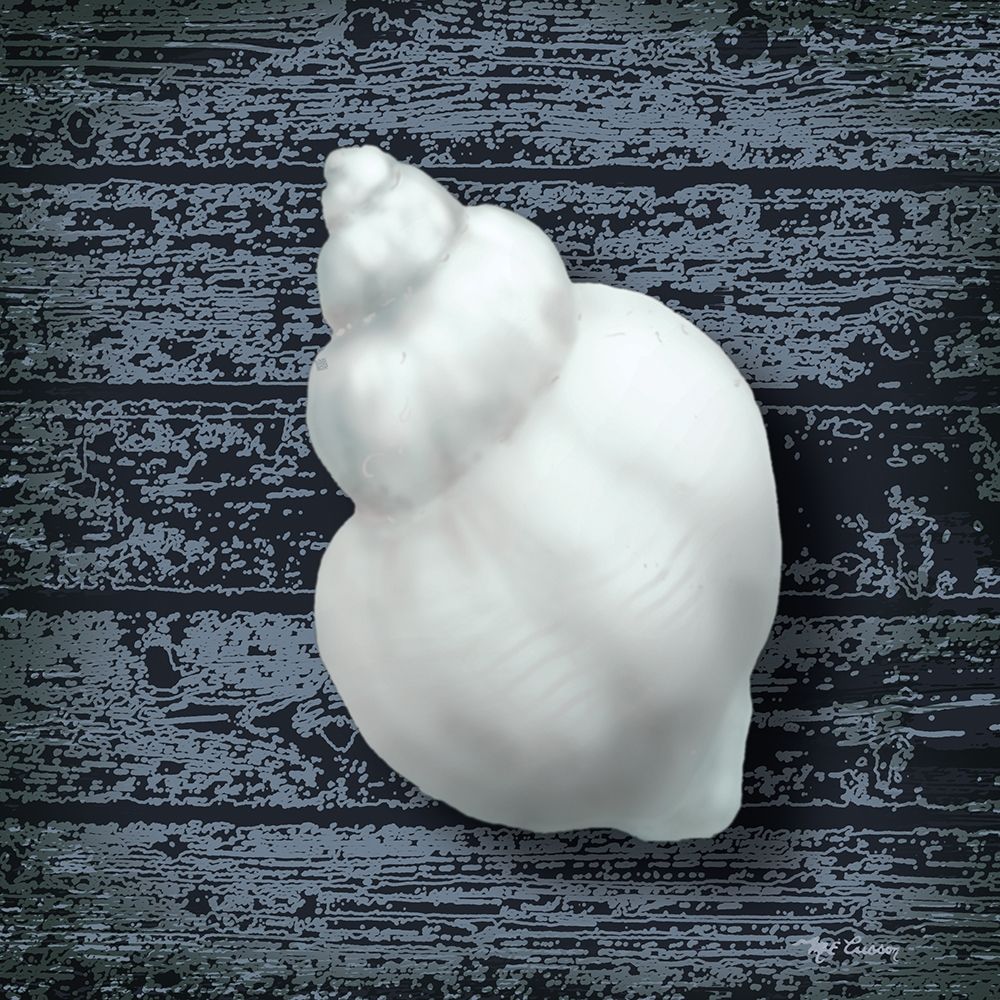 Seashore Shells Navy IV art print by Marie-Elaine Cusson for $57.95 CAD