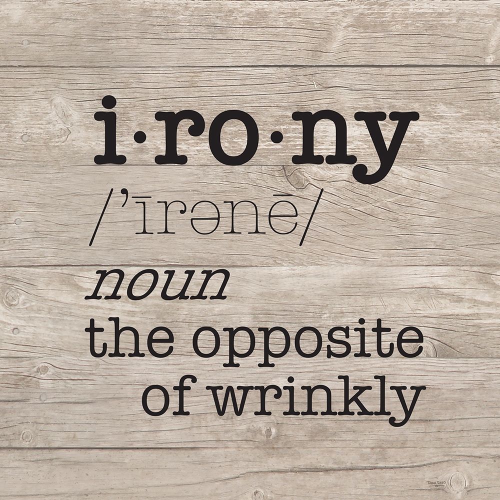 Laundry Room Humor I-Irony art print by Tara Reed for $57.95 CAD