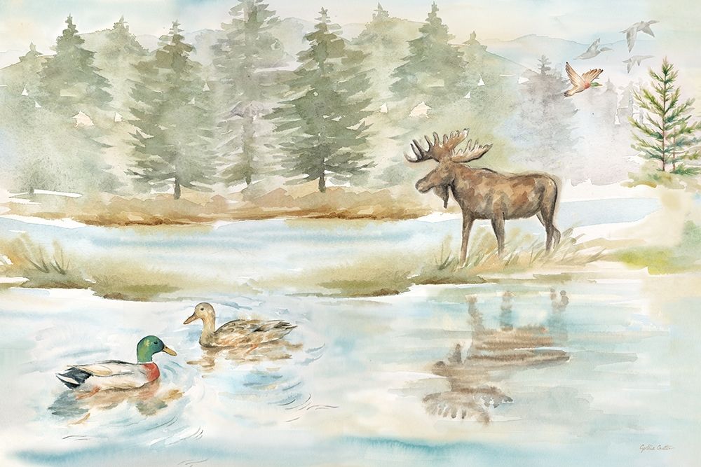Woodland Reflections landscape II art print by Cynthia Coulter for $57.95 CAD