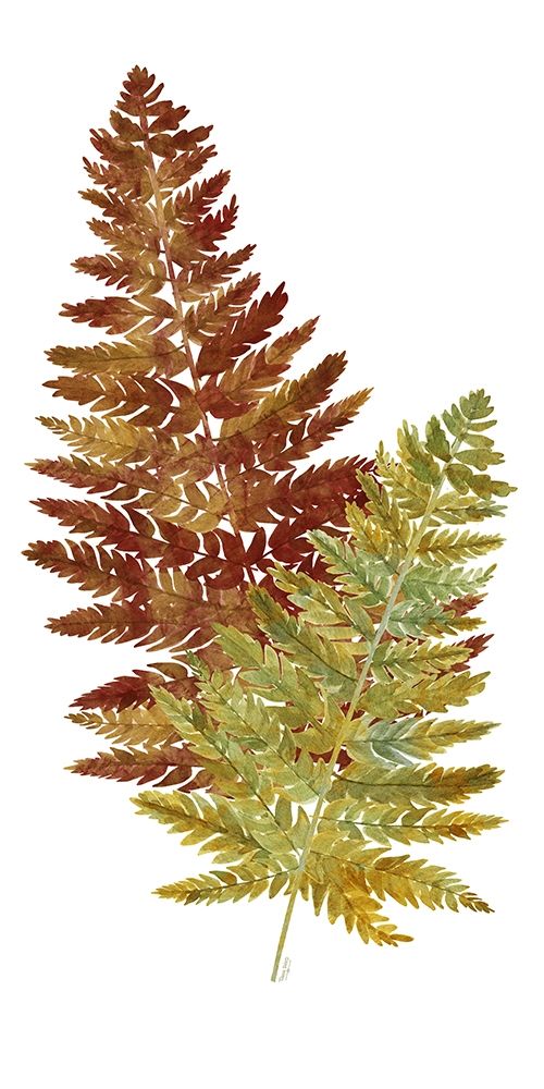 Fall Inspiration panel II art print by Tara Reed for $57.95 CAD