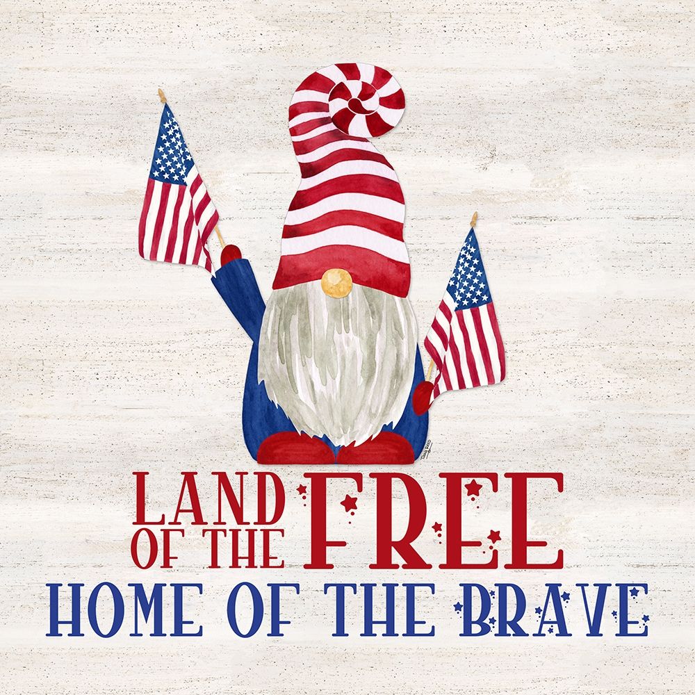 Patriotic Gnomes IV-Land of the Free art print by Tara Reed for $57.95 CAD