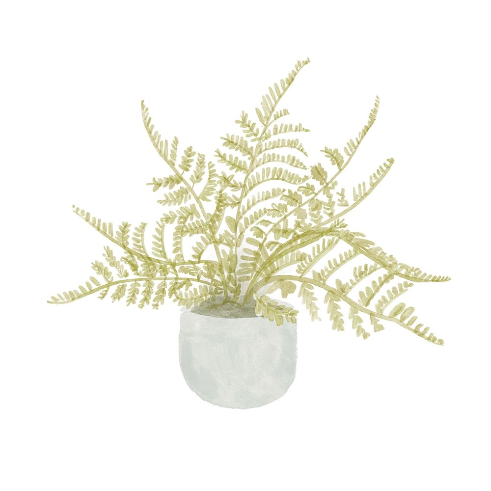 Potted Fern I art print by Bannarot for $57.95 CAD