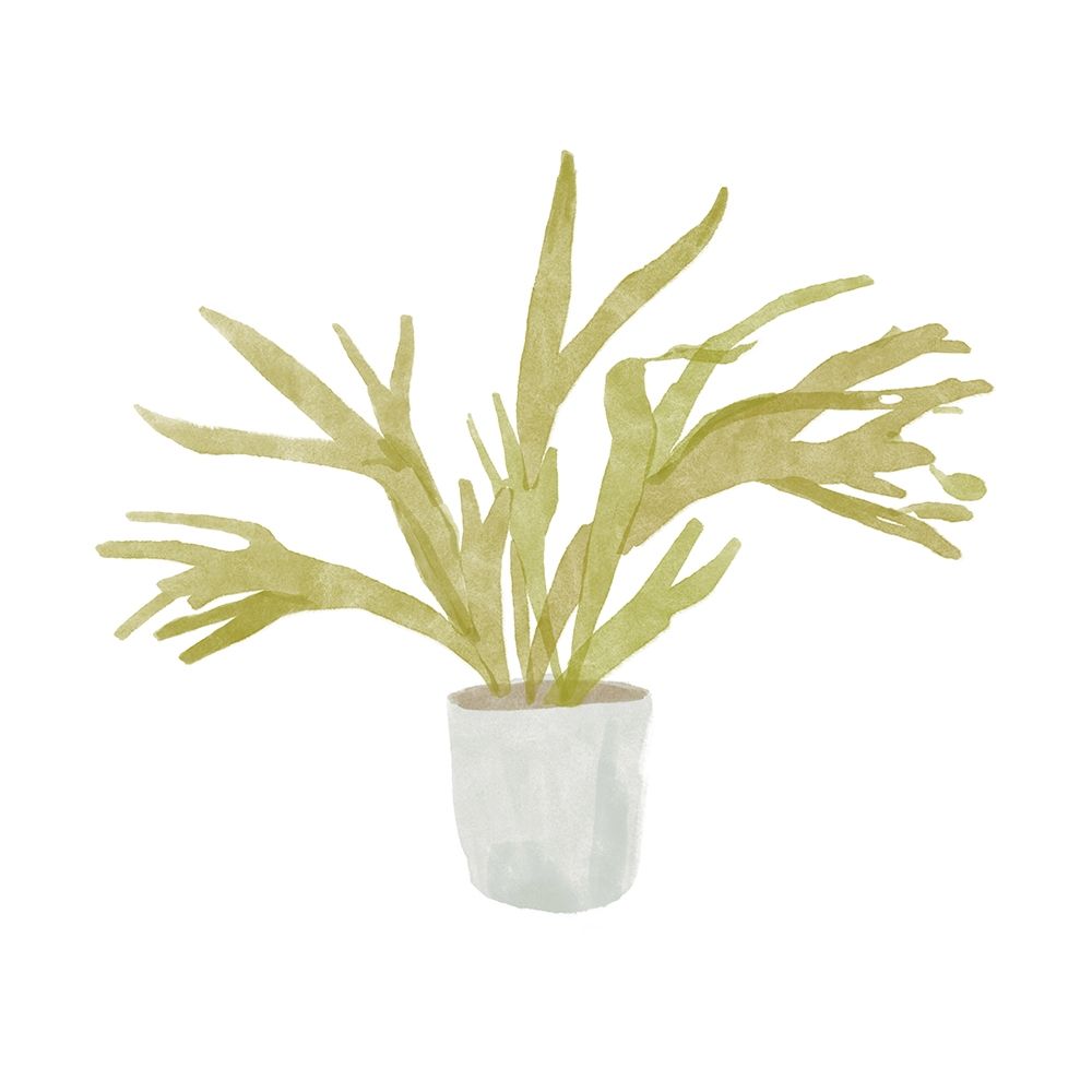Potted Fern II art print by Bannarot for $57.95 CAD