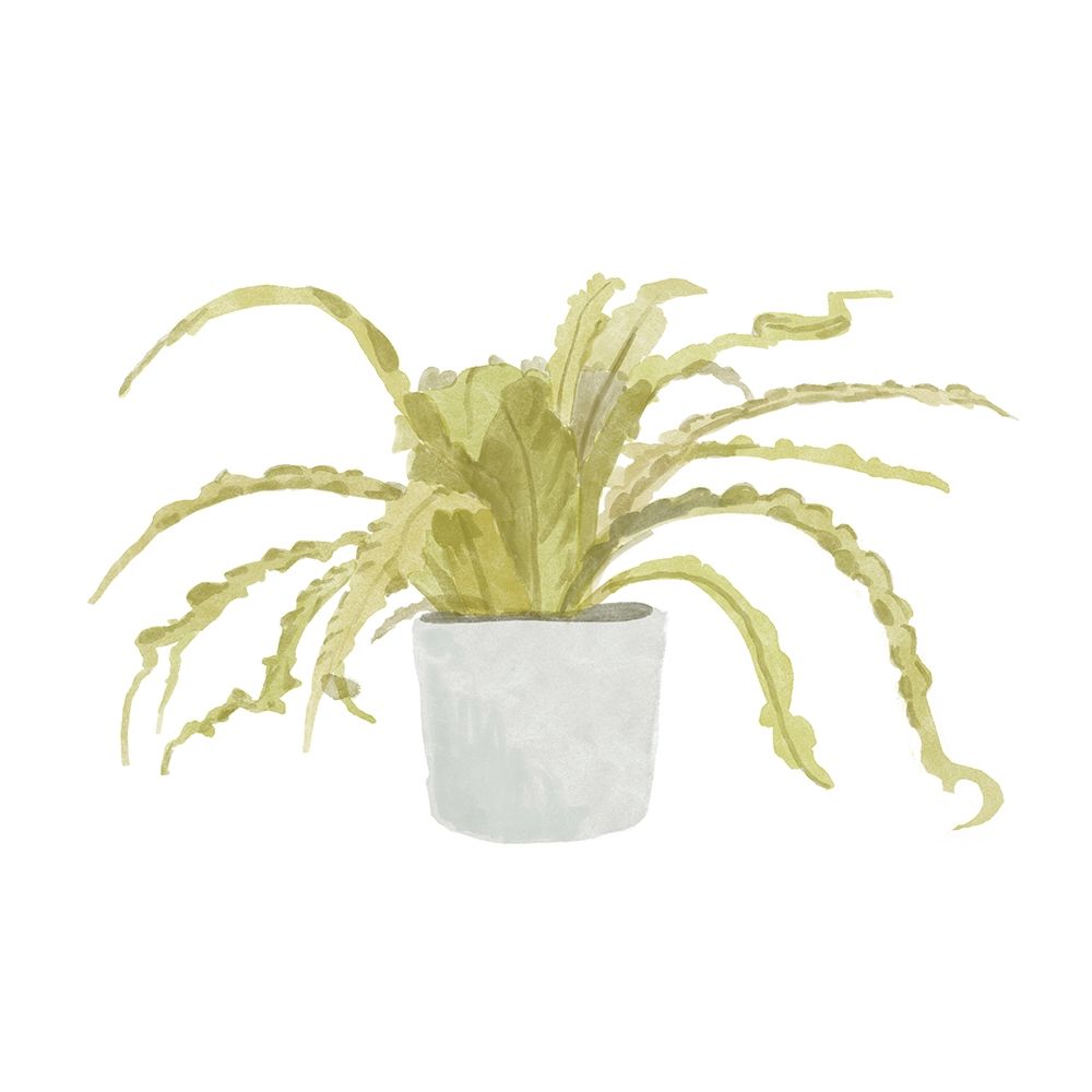 Potted Fern IV art print by Bannarot for $57.95 CAD