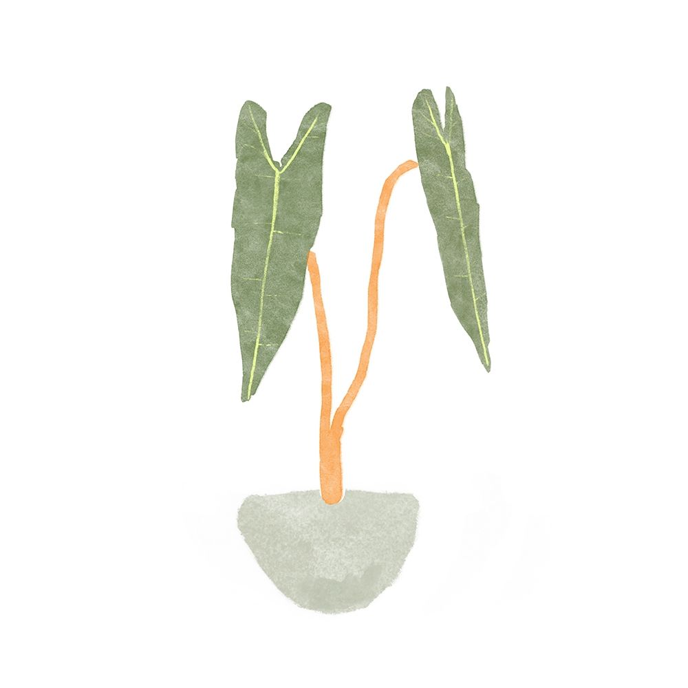 Philodendron Billietiae I art print by Bannarot for $57.95 CAD