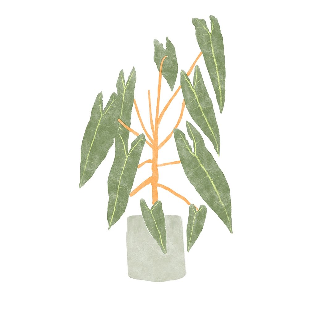 Philodendron Billietiae III art print by Bannarot for $57.95 CAD
