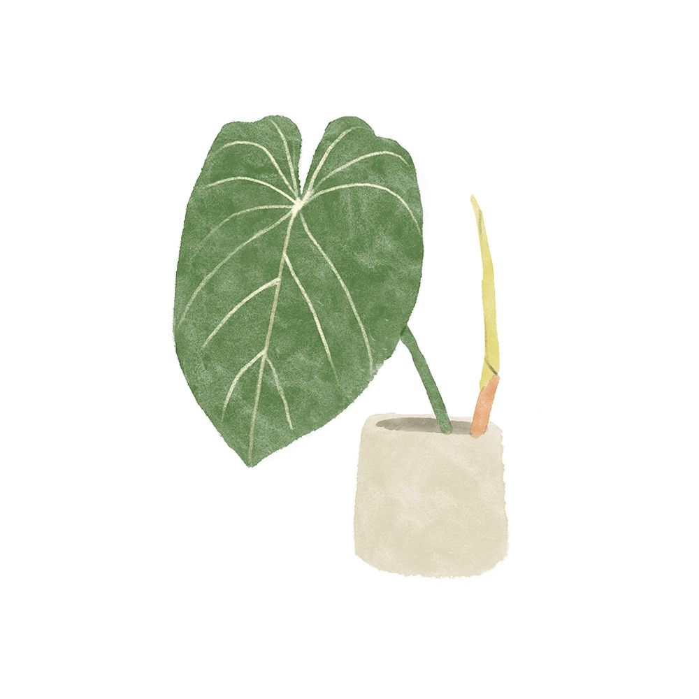 Philodendron Gloriosum V art print by Bannarot for $57.95 CAD