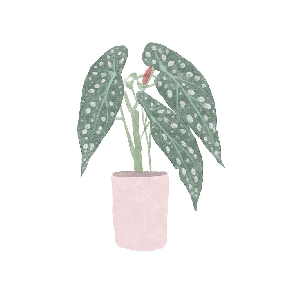 Polka Dot Begonia V art print by Bannarot for $57.95 CAD
