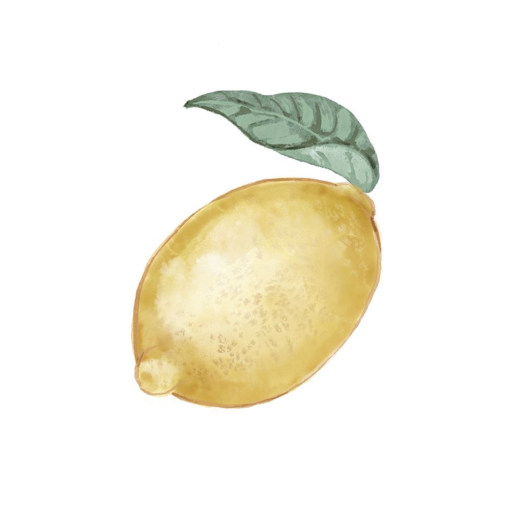 Citrus Limon I art print by Bannarot for $57.95 CAD