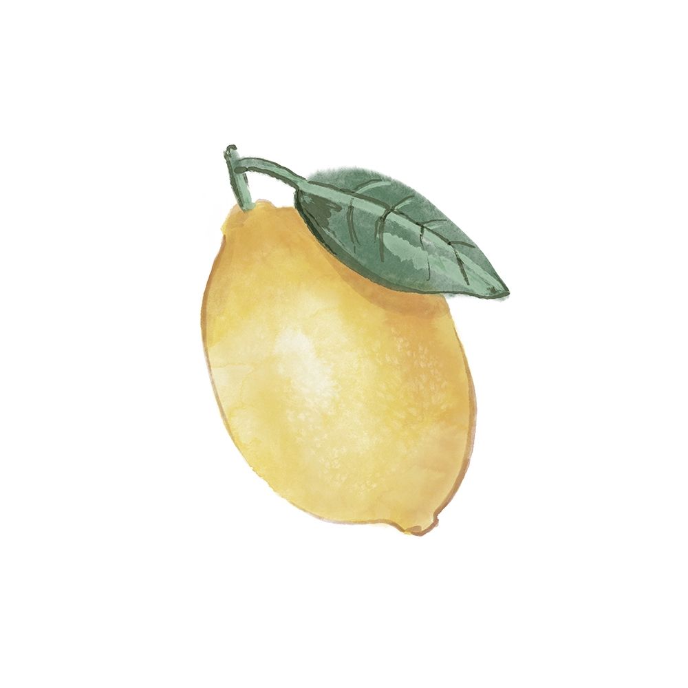 Citrus Limon II art print by Bannarot for $57.95 CAD