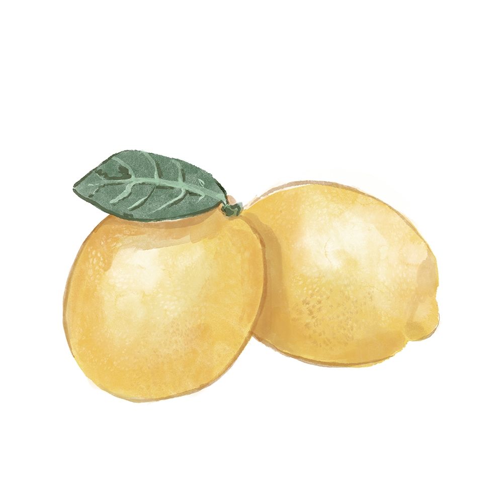 Citrus Limon III art print by Bannarot for $57.95 CAD