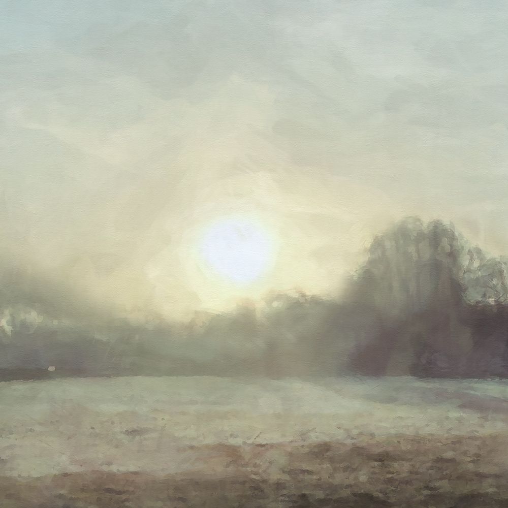 Sun  through Mist art print by Noah Bay for $57.95 CAD