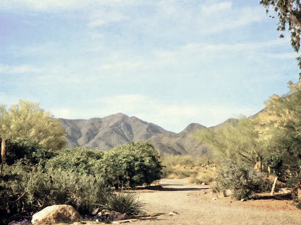 Desert Path art print by Graffi-tee Studios for $57.95 CAD