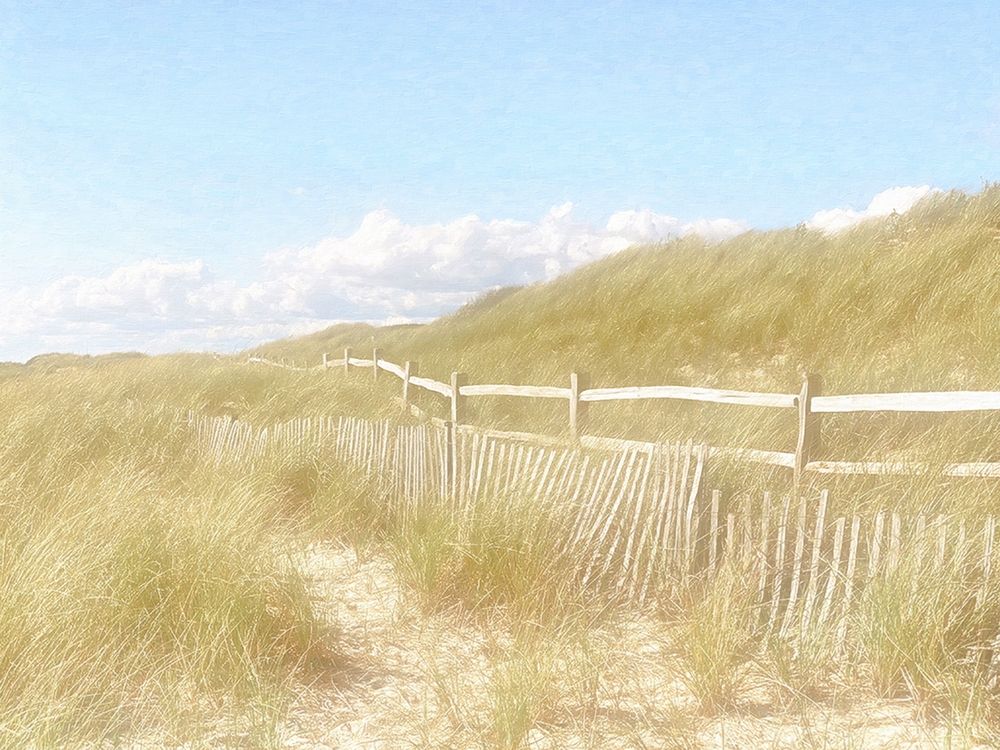 Seagrass  Dunes art print by Graffi-tee Studios for $57.95 CAD