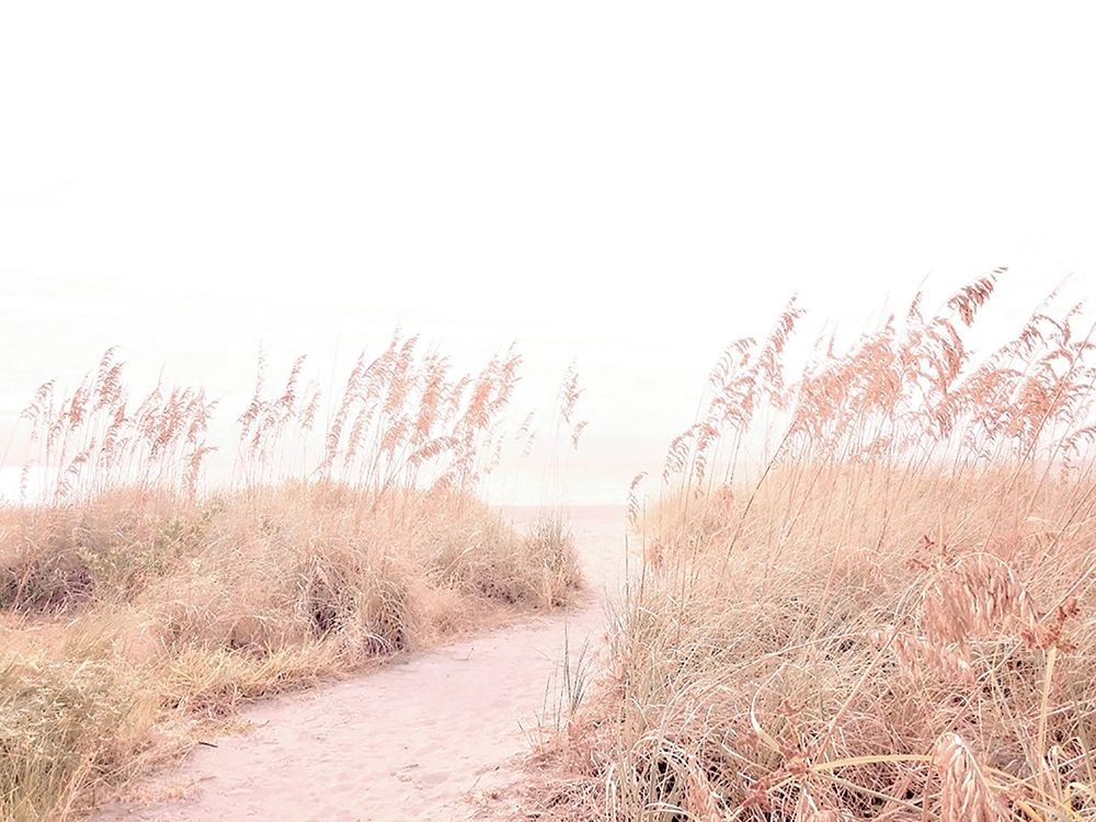 Walk  through the Grasses art print by Graffi-tee Studios for $57.95 CAD