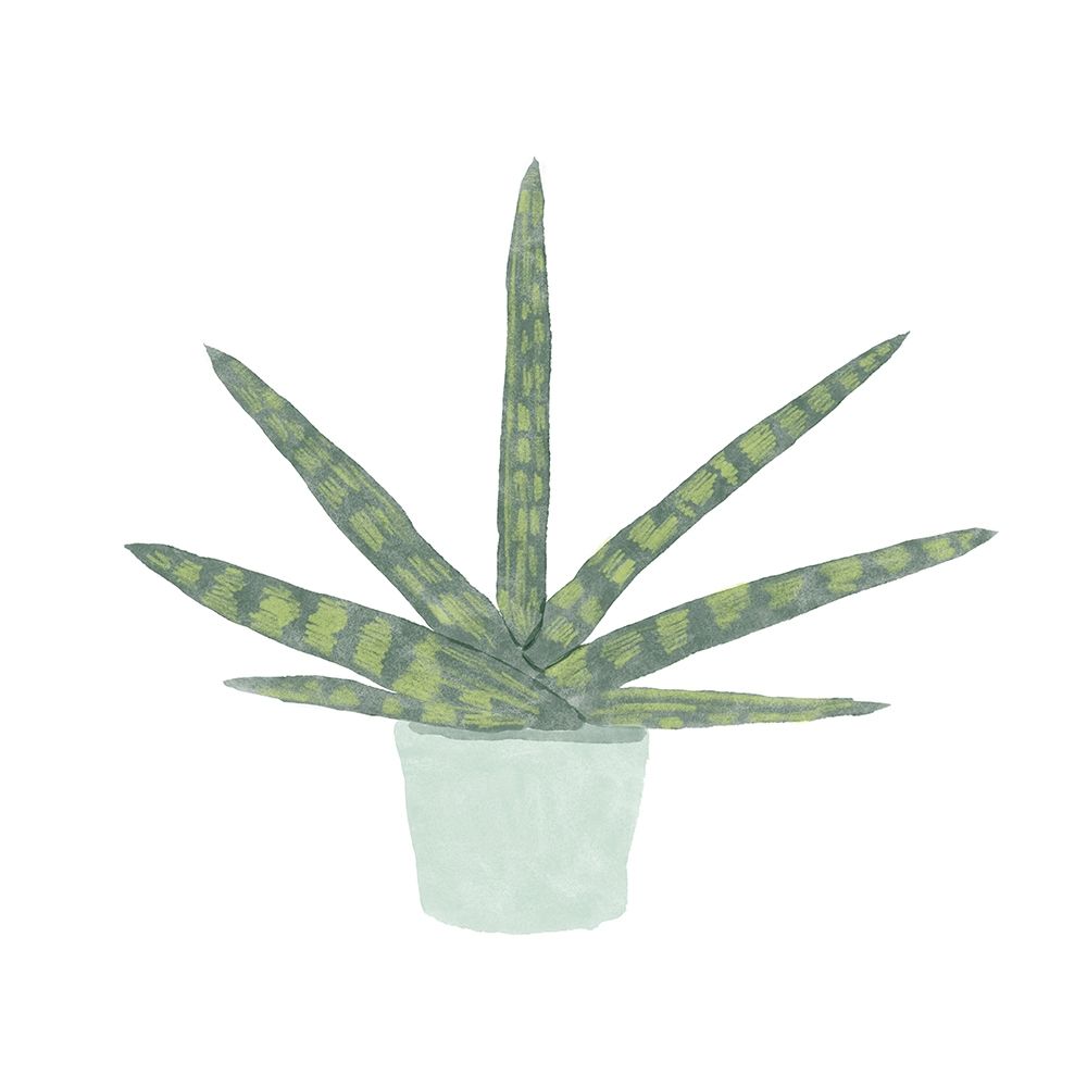 Snake  Plant V art print by Bannarot for $57.95 CAD