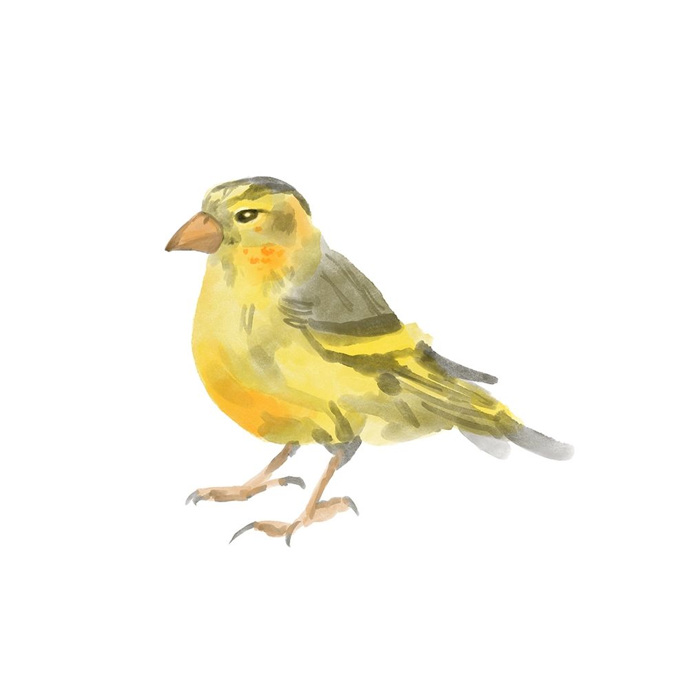 Songbird  I art print by Bannarot for $57.95 CAD