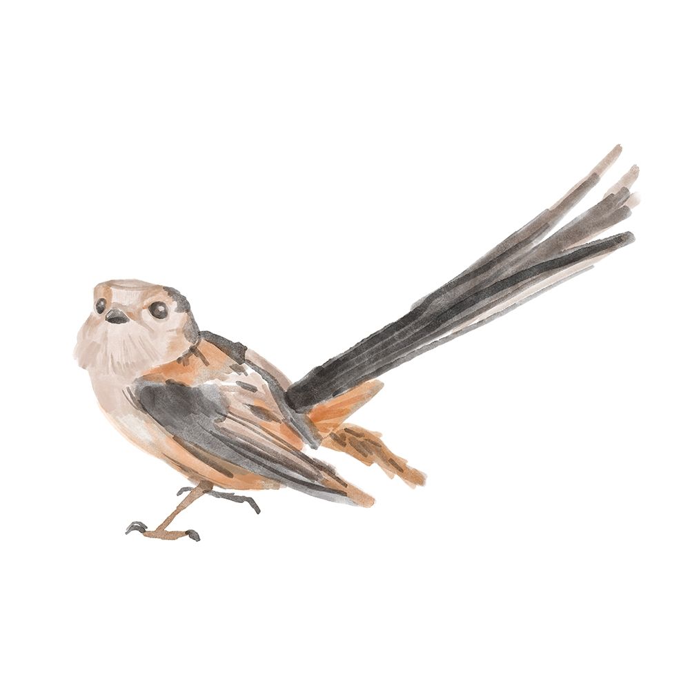 Songbird  IV art print by Bannarot for $57.95 CAD