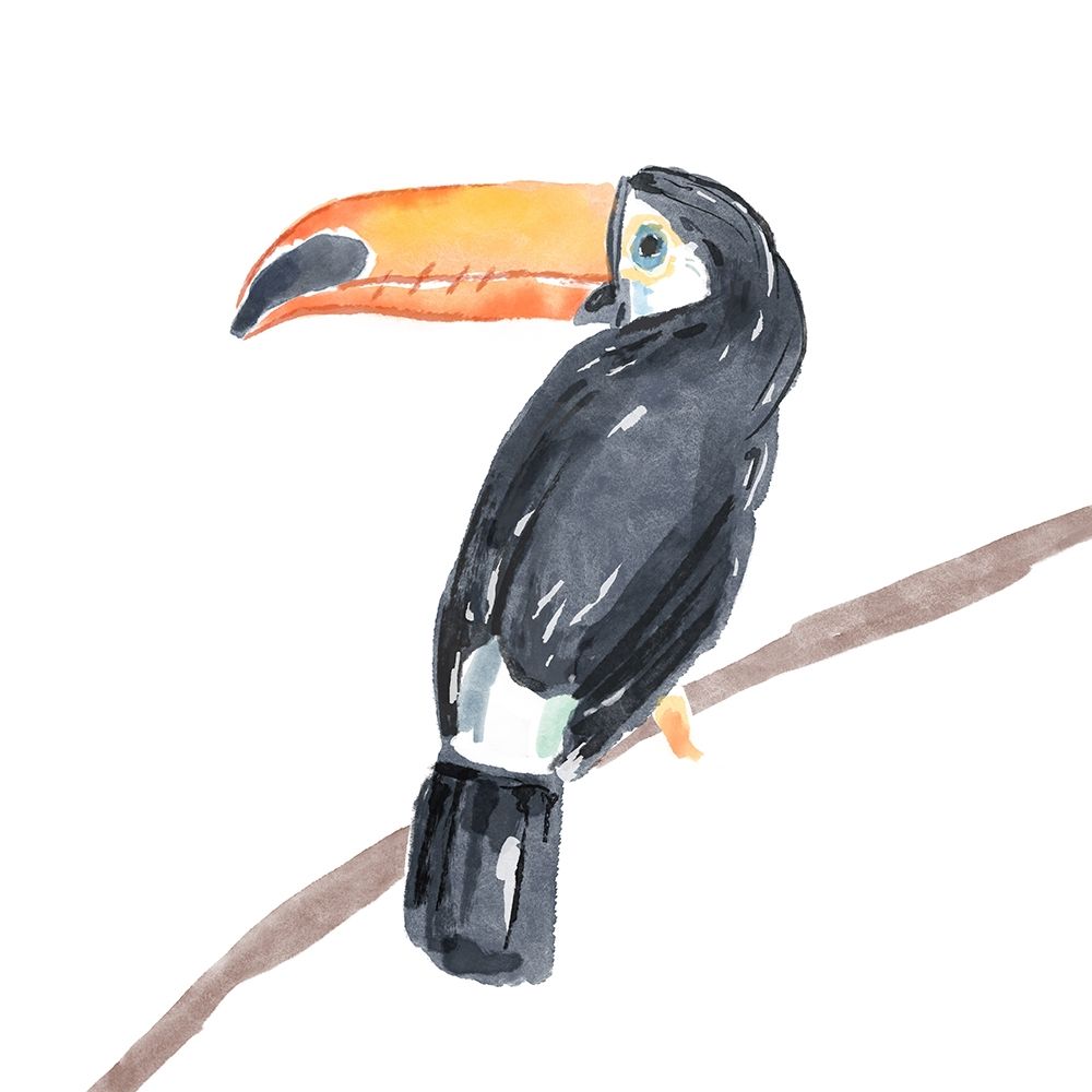 Tropical  Toucan II art print by Bannarot for $57.95 CAD