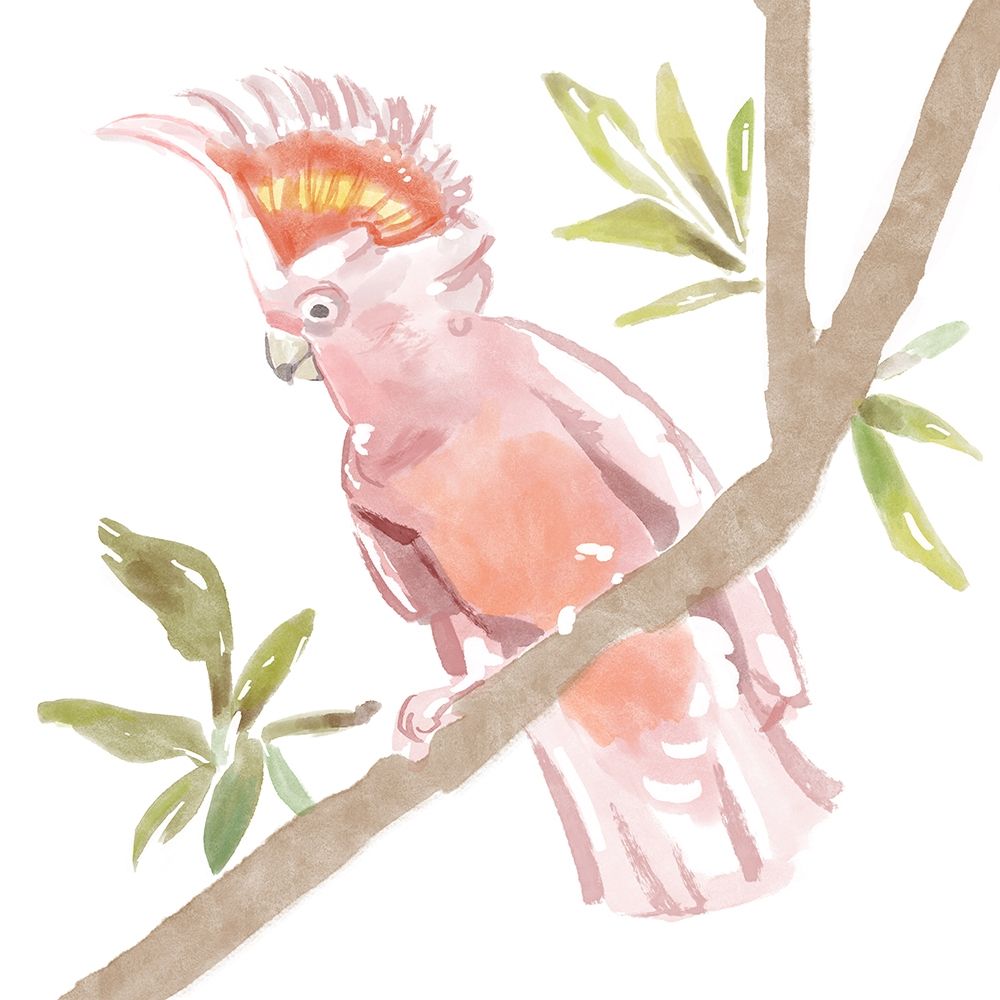 Tropical  Cockatoo art print by Bannarot for $57.95 CAD