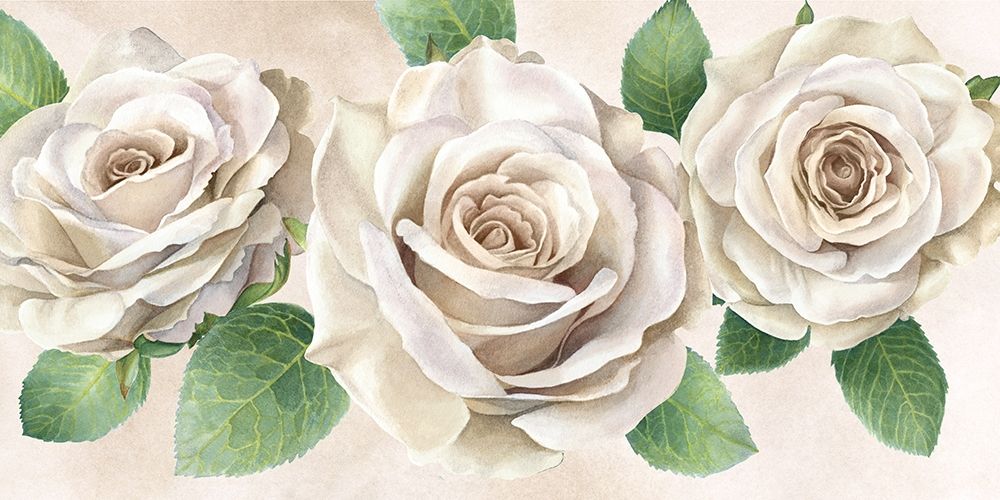 Ivory  Roses landscape II art print by Kelsey Wilson for $57.95 CAD