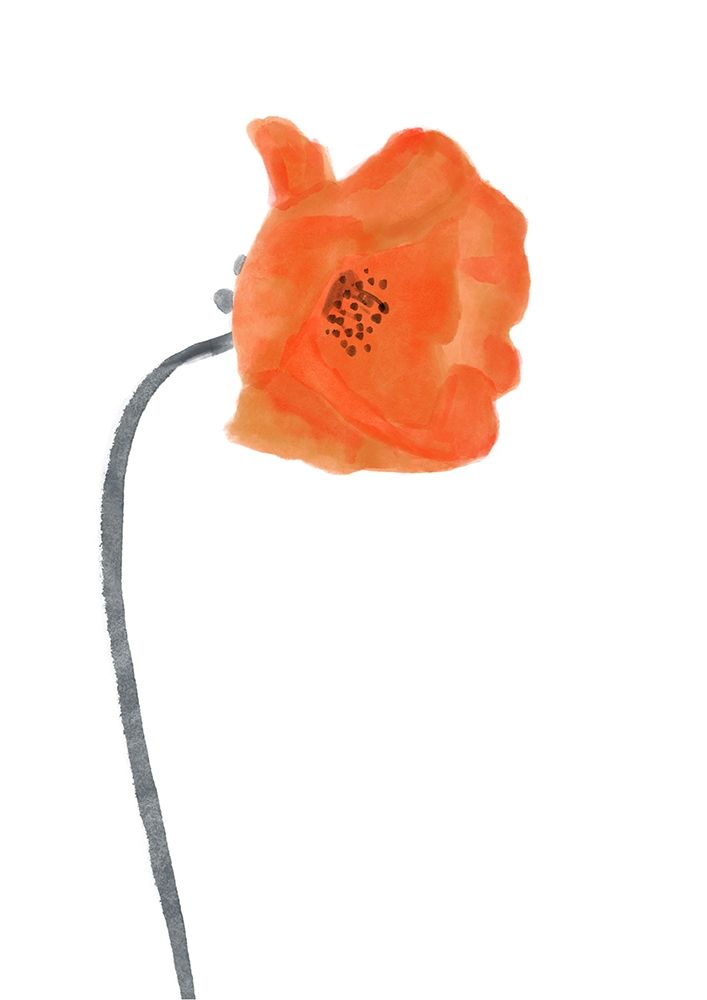 Solo  Poppy Red I art print by Bannarot for $57.95 CAD