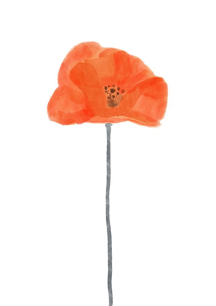 Solo  Poppy Red II art print by Bannarot for $57.95 CAD