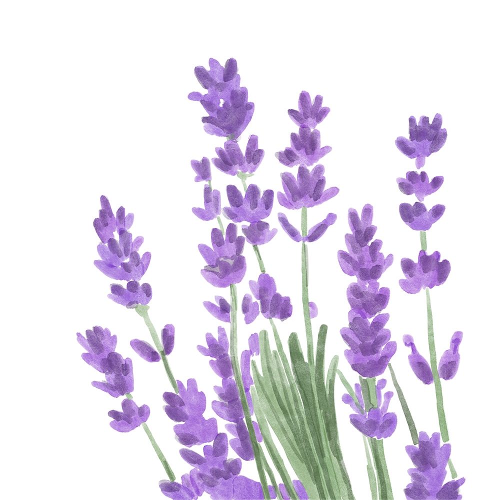 Wildflower  Group II art print by Bannarot for $57.95 CAD