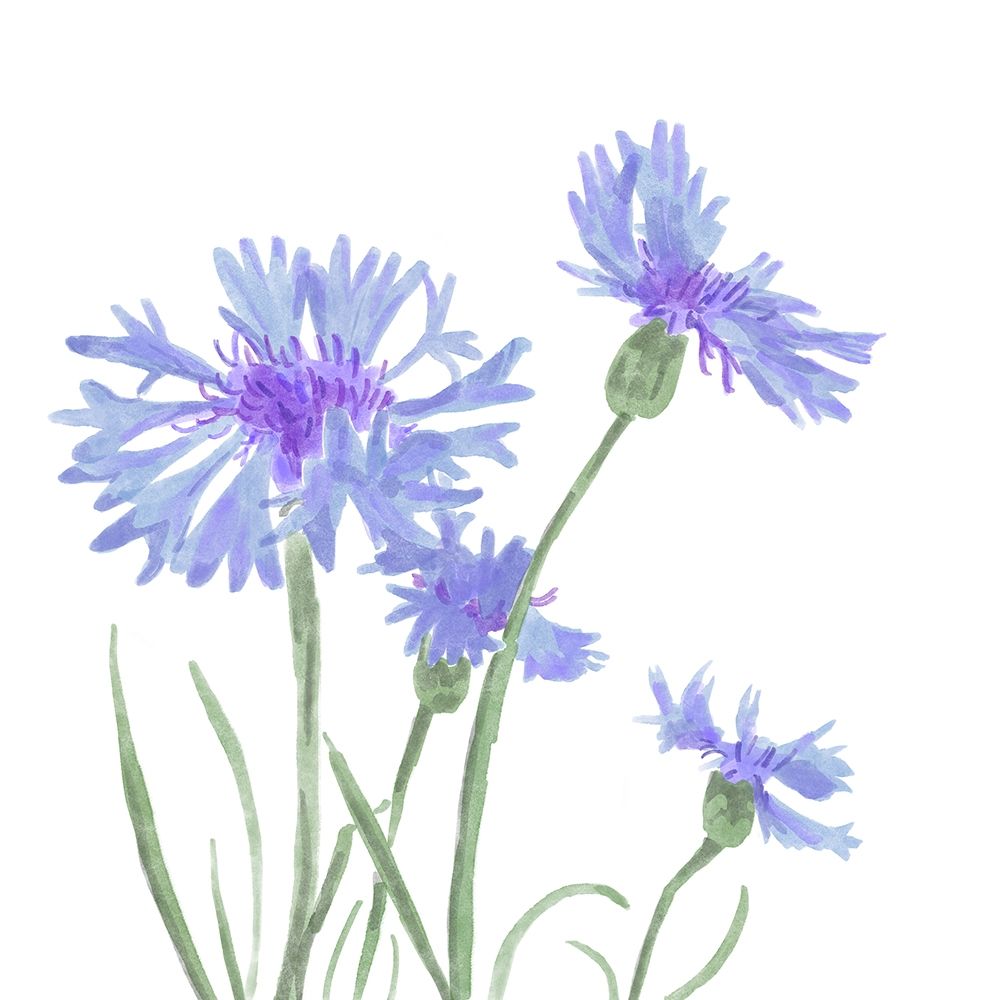 Wildflower  Group IV art print by Bannarot for $57.95 CAD