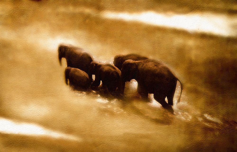 The  Crossing art print by Noah Bay for $57.95 CAD