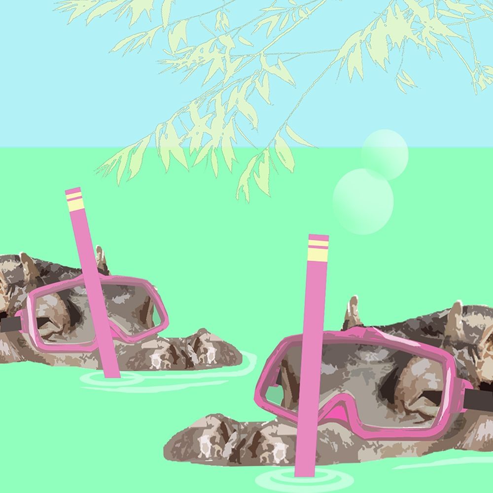 Snorkeling  Hippos art print by Noah Bay for $57.95 CAD