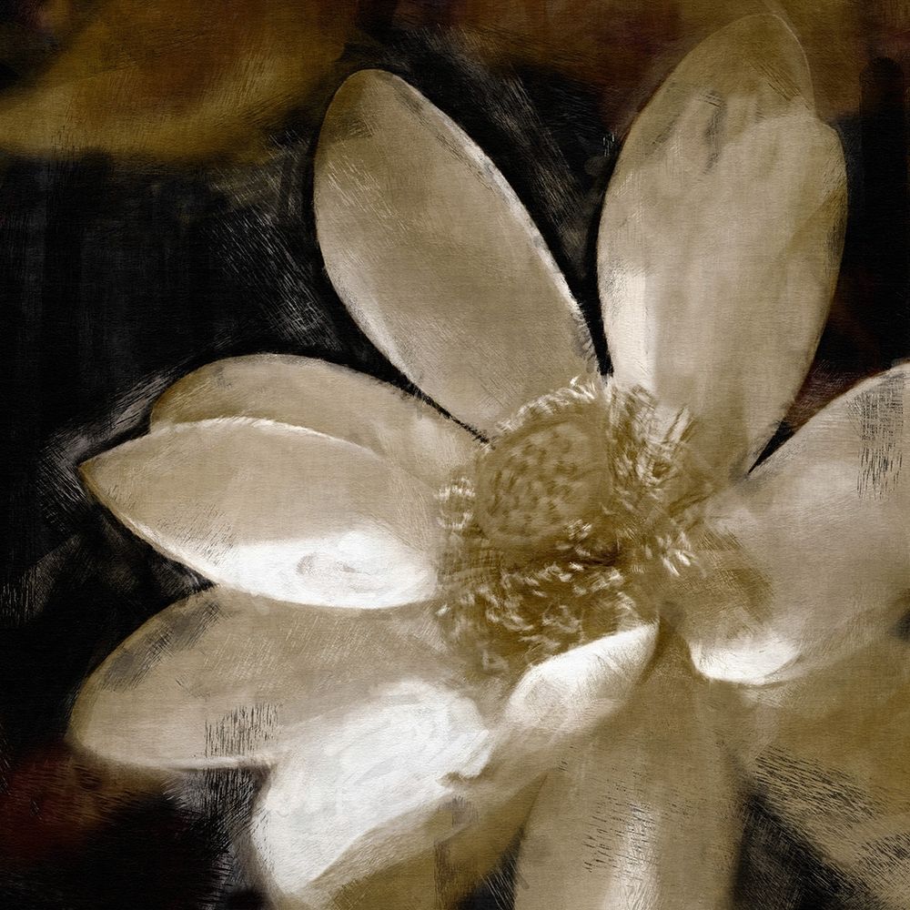 Bronze  Lily art print by Noah Bay for $57.95 CAD