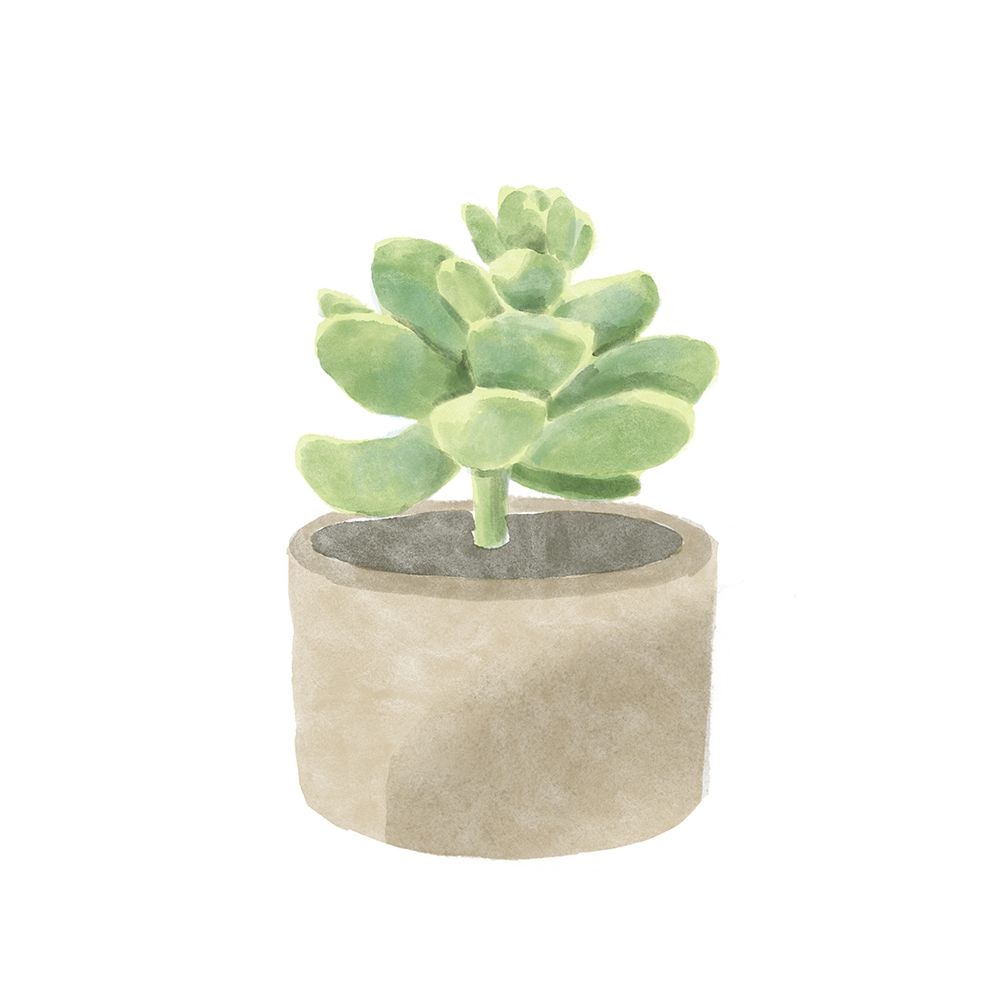 Simple Succulent II art print by Bannarot for $57.95 CAD