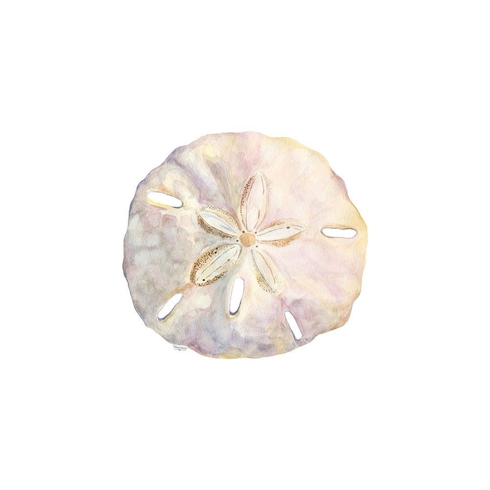 Oceanum Shells white IV-Sand Dollar art print by Tara Reed for $57.95 CAD