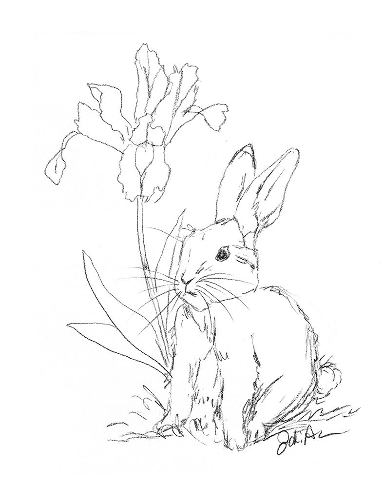 Bunny  Sketch Iris art print by Jodi Augustine for $57.95 CAD