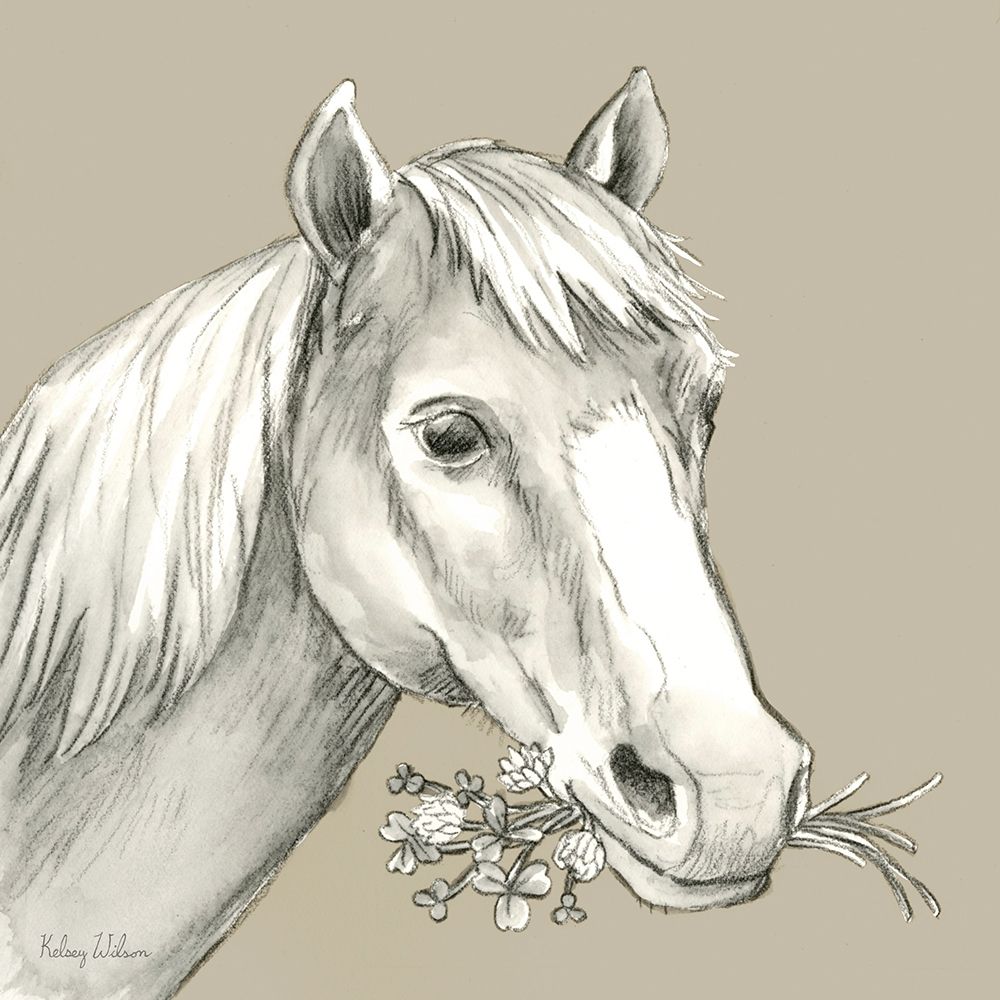 Watercolor  Pencil Farm color III-Horse art print by Kelsey Wilson for $57.95 CAD
