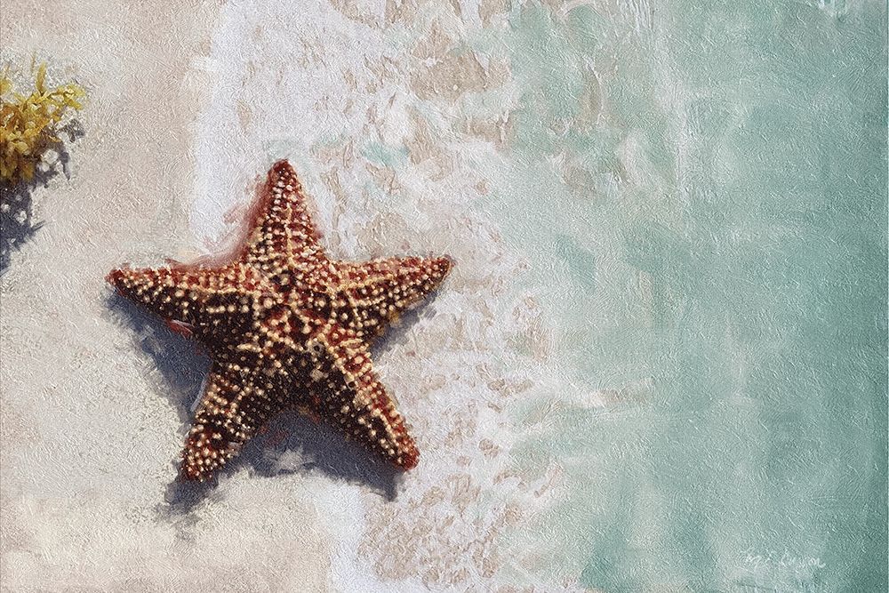 Beach  Shore XIV art print by Marie-Elaine Cusson for $57.95 CAD