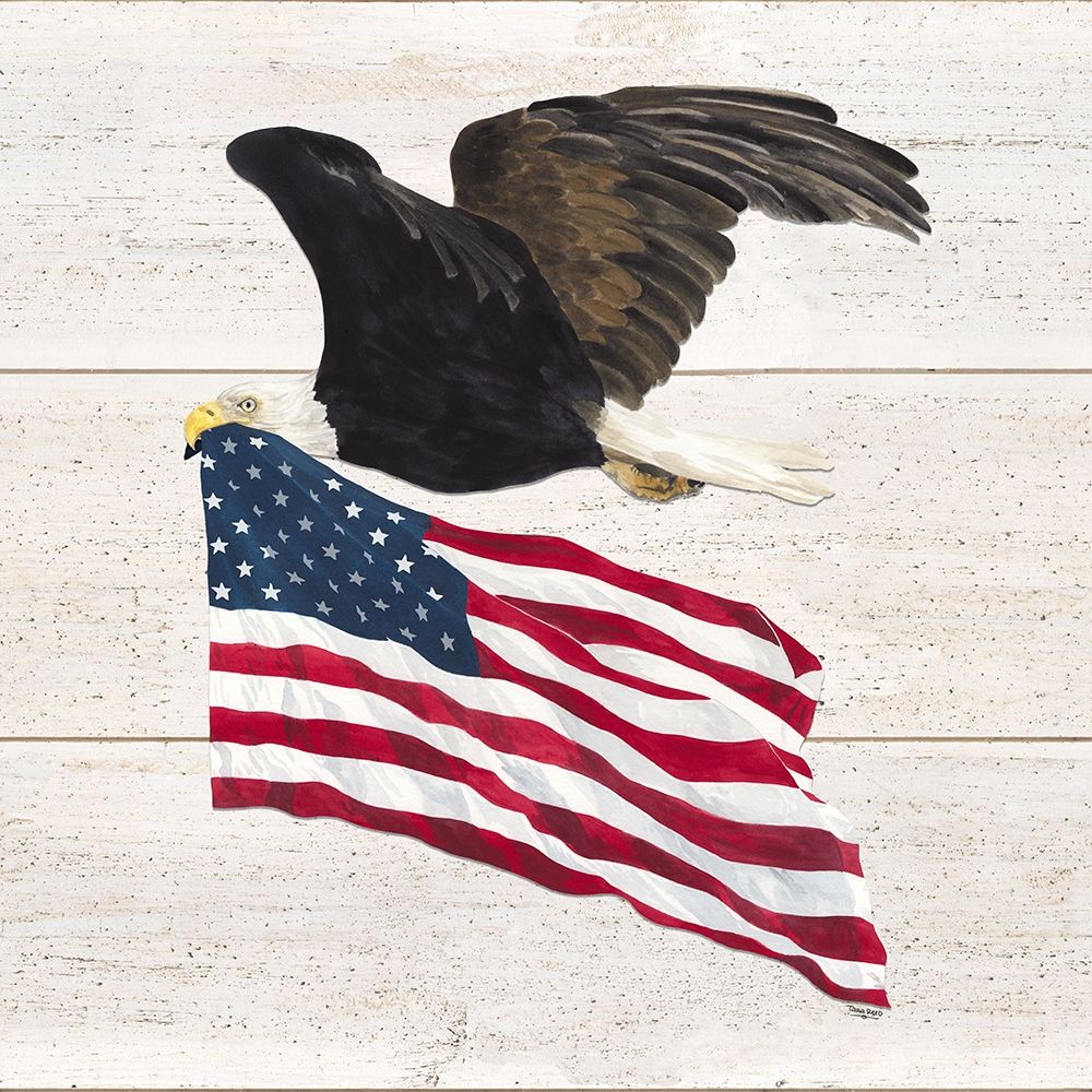 Let  Freedom Soar IV art print by Tara Reed for $57.95 CAD
