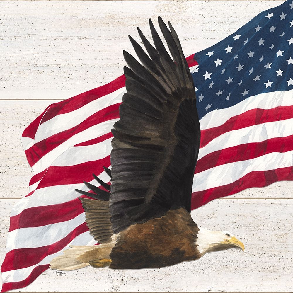 Let  Freedom Soar V art print by Tara Reed for $57.95 CAD