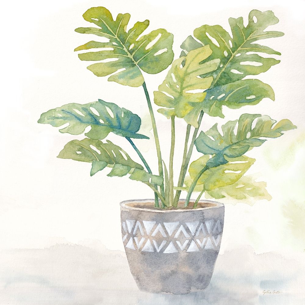 Houseplant III-Split Leaf Philodendron art print by Cynthia Coulter for $57.95 CAD